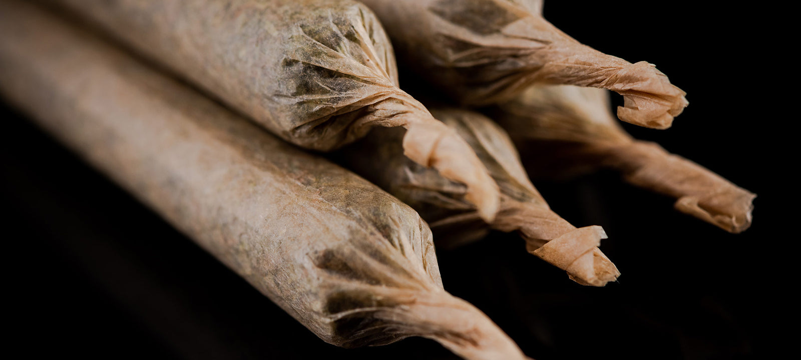 The Art Of Rolling - 5 Ways To Impress The Sesh