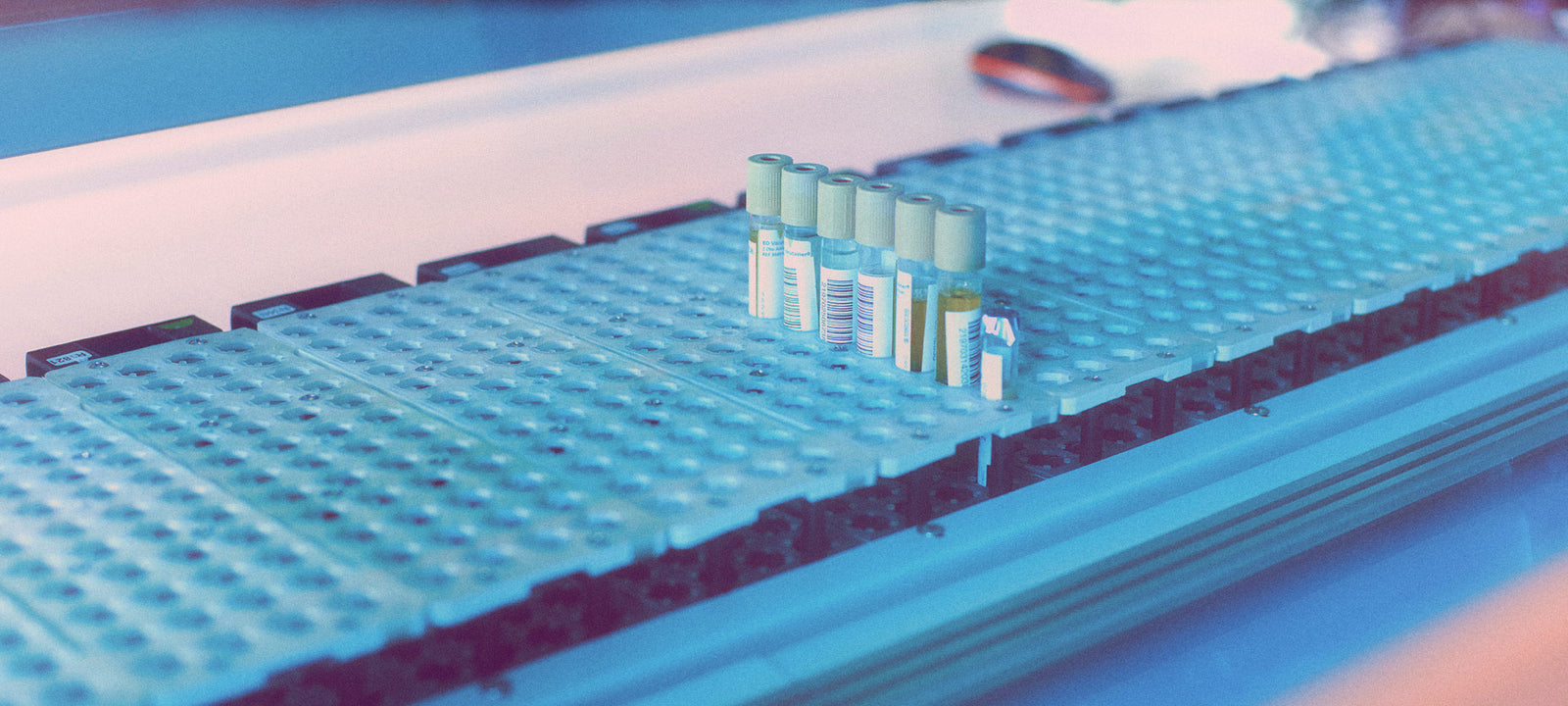 How to pass a drugs test for weed?